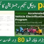How to Register on pave.gov.pk