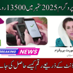 BISP 8171 September 2025 Payment