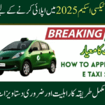 Required Documents for CM Punjab E-Taxi Scheme