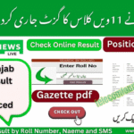 All Punjab Boards 11th Class Gazette