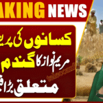 CM Punjab Farmer Welfare Package