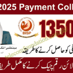BISP Payment Collection