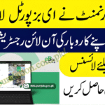 eBiz Punjab Online Business