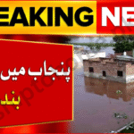 Punjab Schools Closure 2025
