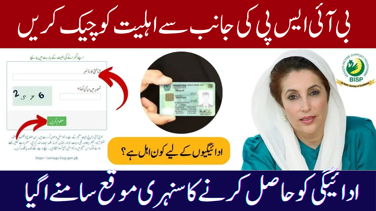 BISP 8171 Web Portal Re-Launch